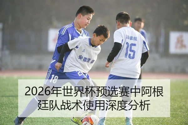 2026年世界杯预选赛中阿根廷队战术使用深度分析