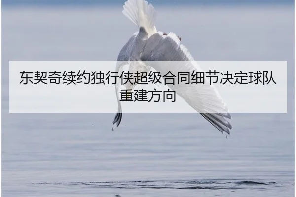 dong-qi-qi-xu-yue-du-xing-xia-chao-ji-he-tong-xi-jie-jue-ding-qiu-dui-chong-jian-fang-xiang-2-612.jpg