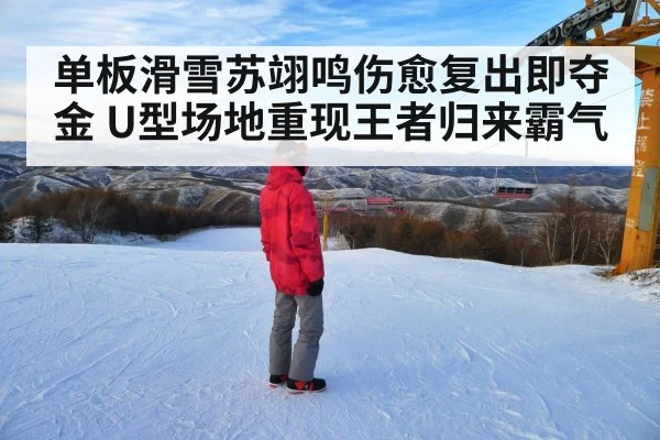单板滑雪苏翊鸣伤愈复出即夺金 U型场地重现王者归来霸气