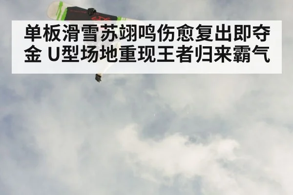 snowboarder aerial trick