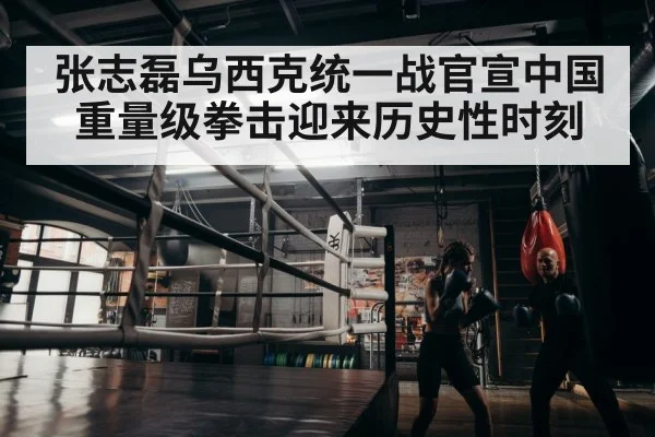 boxer training